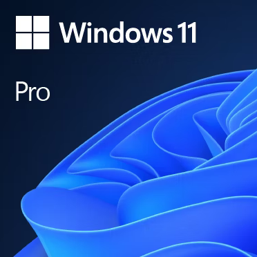 Windows Pro